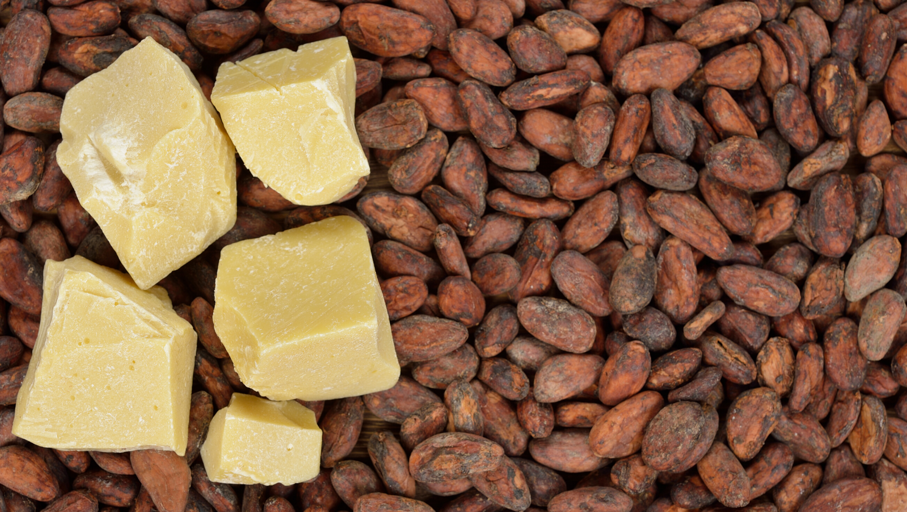Cocoa Butter