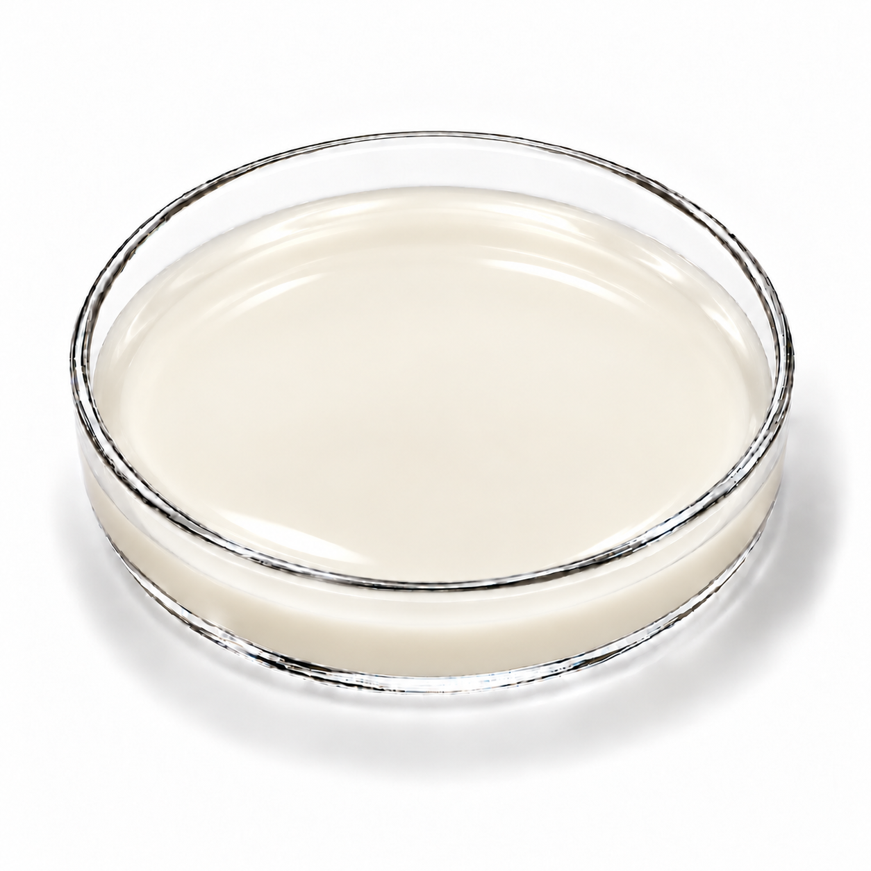 DW Jojoba Milk