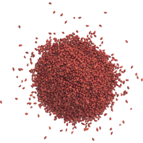 Cranberry Seed Exfoliant